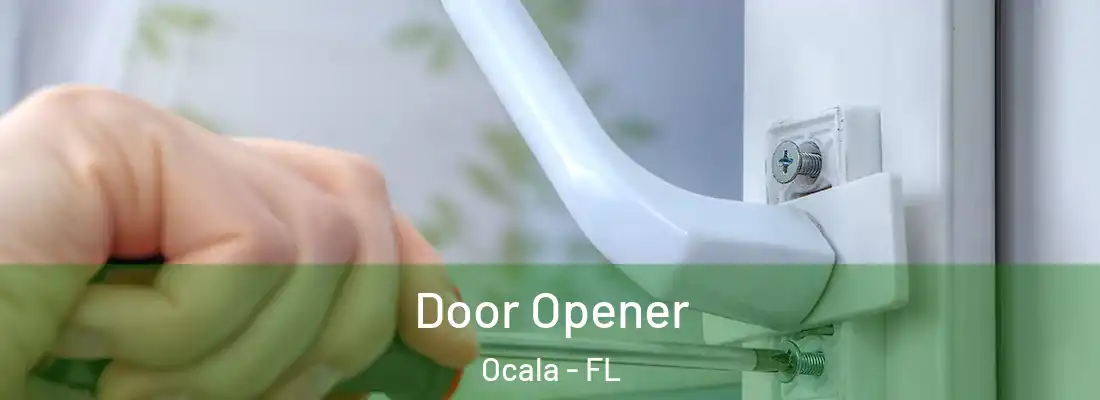 Door Opener Ocala - FL