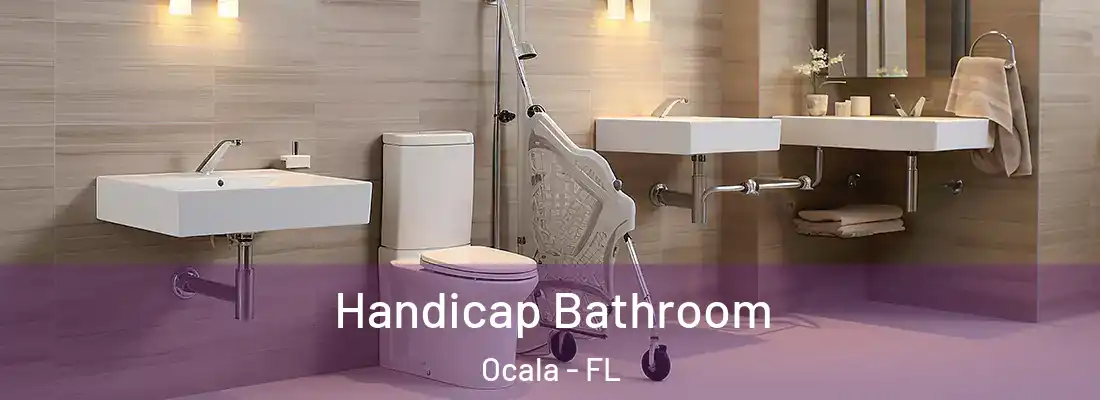 Handicap Bathroom Ocala - FL